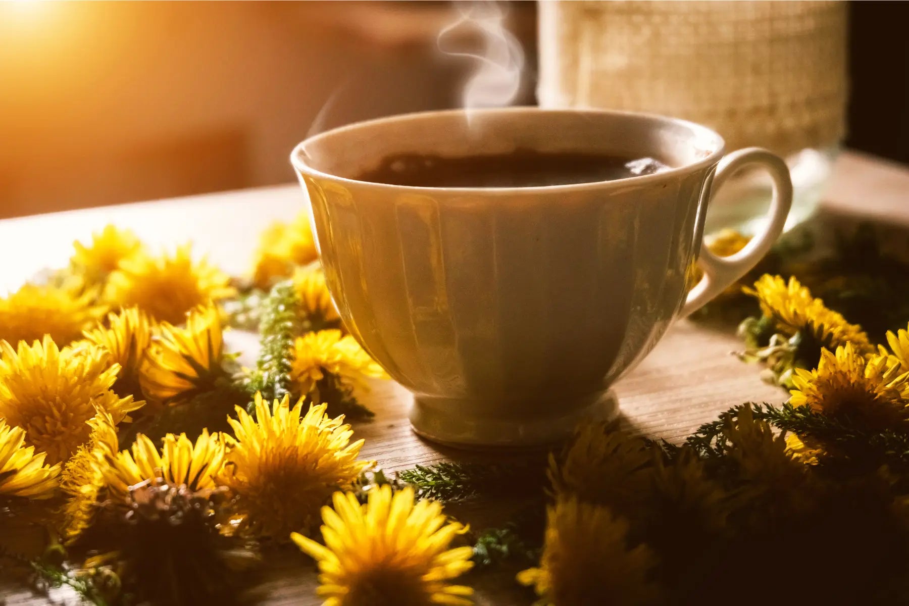 Dandelion coffee in a steaming cup surrounded by fresh yellow dandelion flowers on a rustic wooden surface.